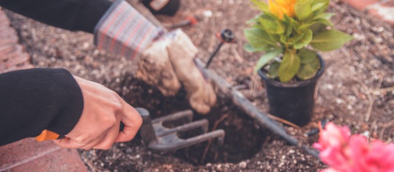 Gartenarbeit & Winterdienst