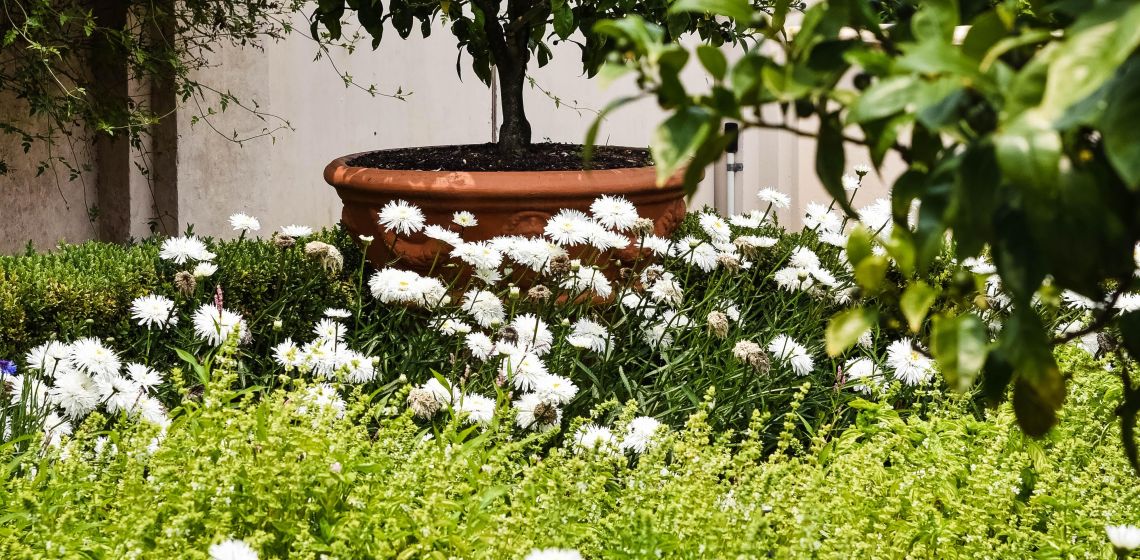 Gartenarbeiten in Schenefeld (Kreis Pinneberg)